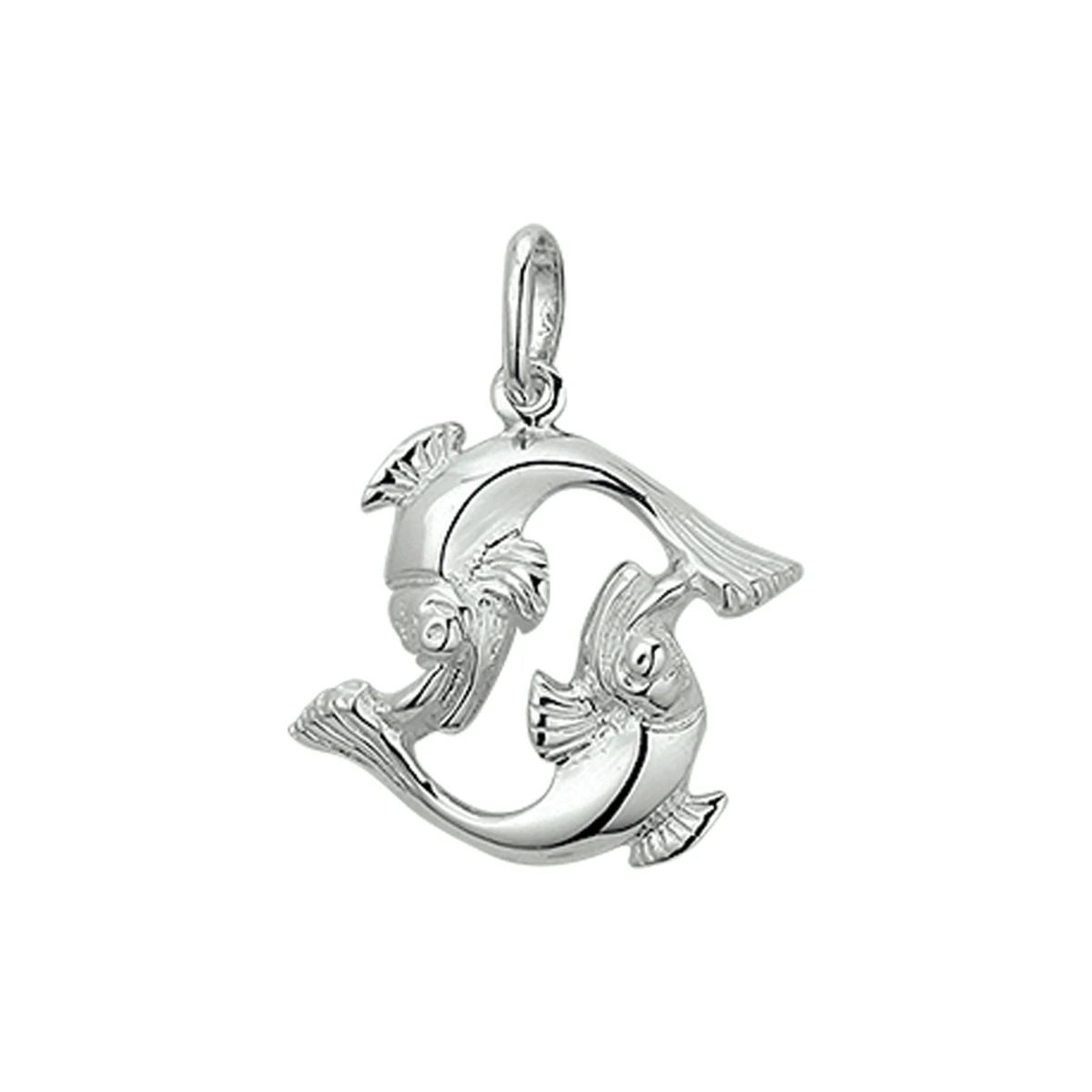 hanger sterrenbeeld zilver wit