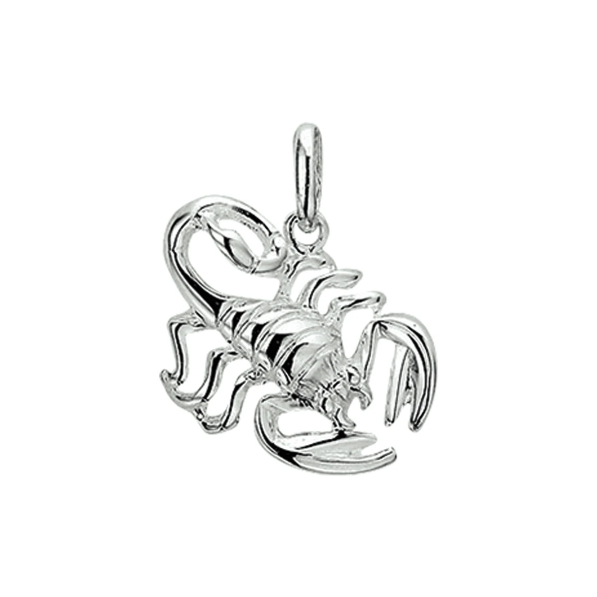 hanger sterrenbeeld zilver wit