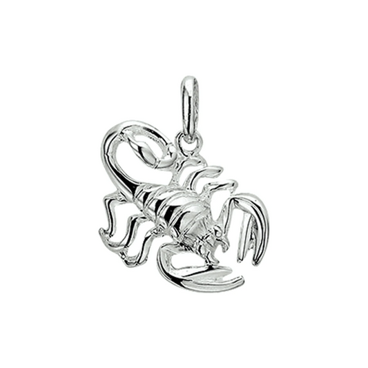 hanger sterrenbeeld zilver wit