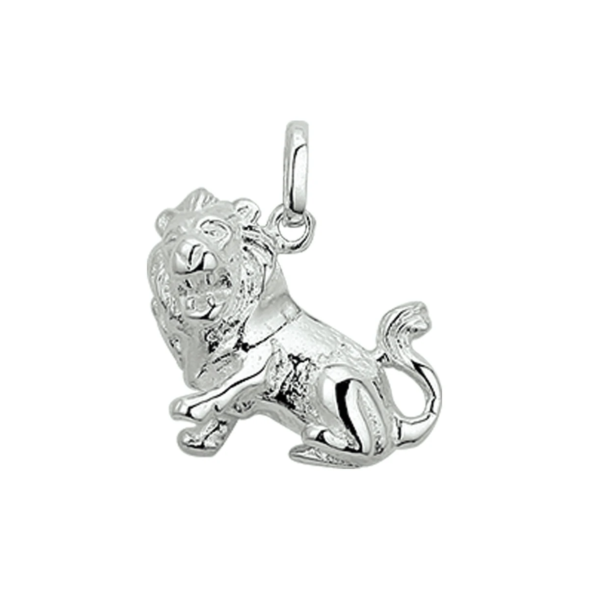 hanger sterrenbeeld zilver wit