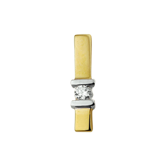 hanger zirkonia 14K bicolor goud geel/wit