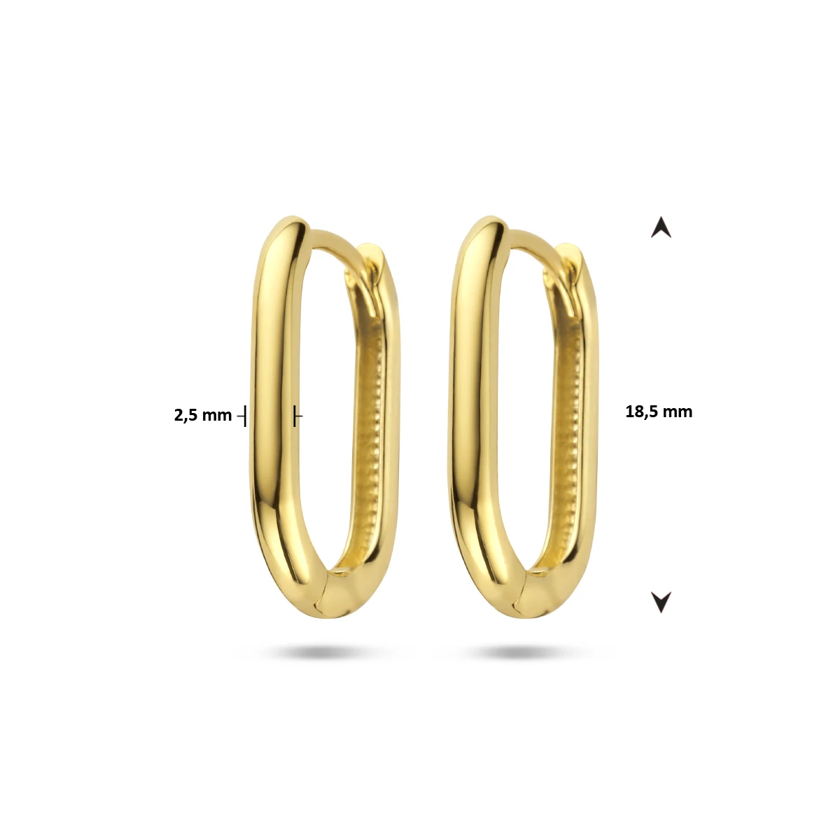 klapoorringen paperclip 14K geelgoud