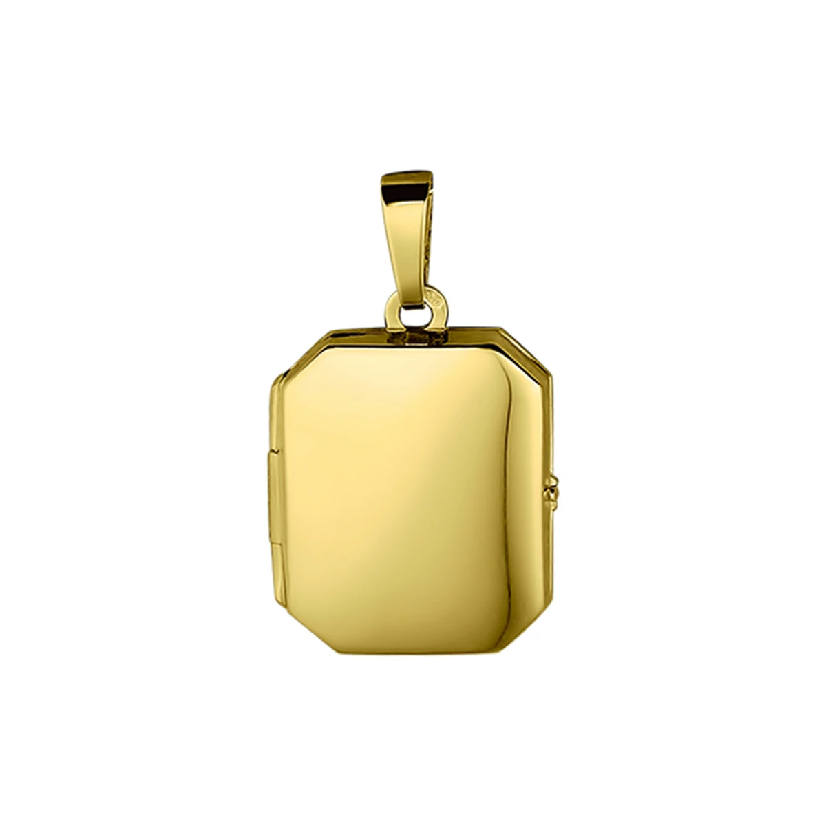 medaillon 21 mm 14K geelgoud