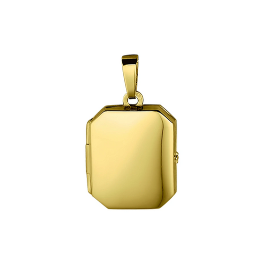 medaillon 21 mm 14K geelgoud