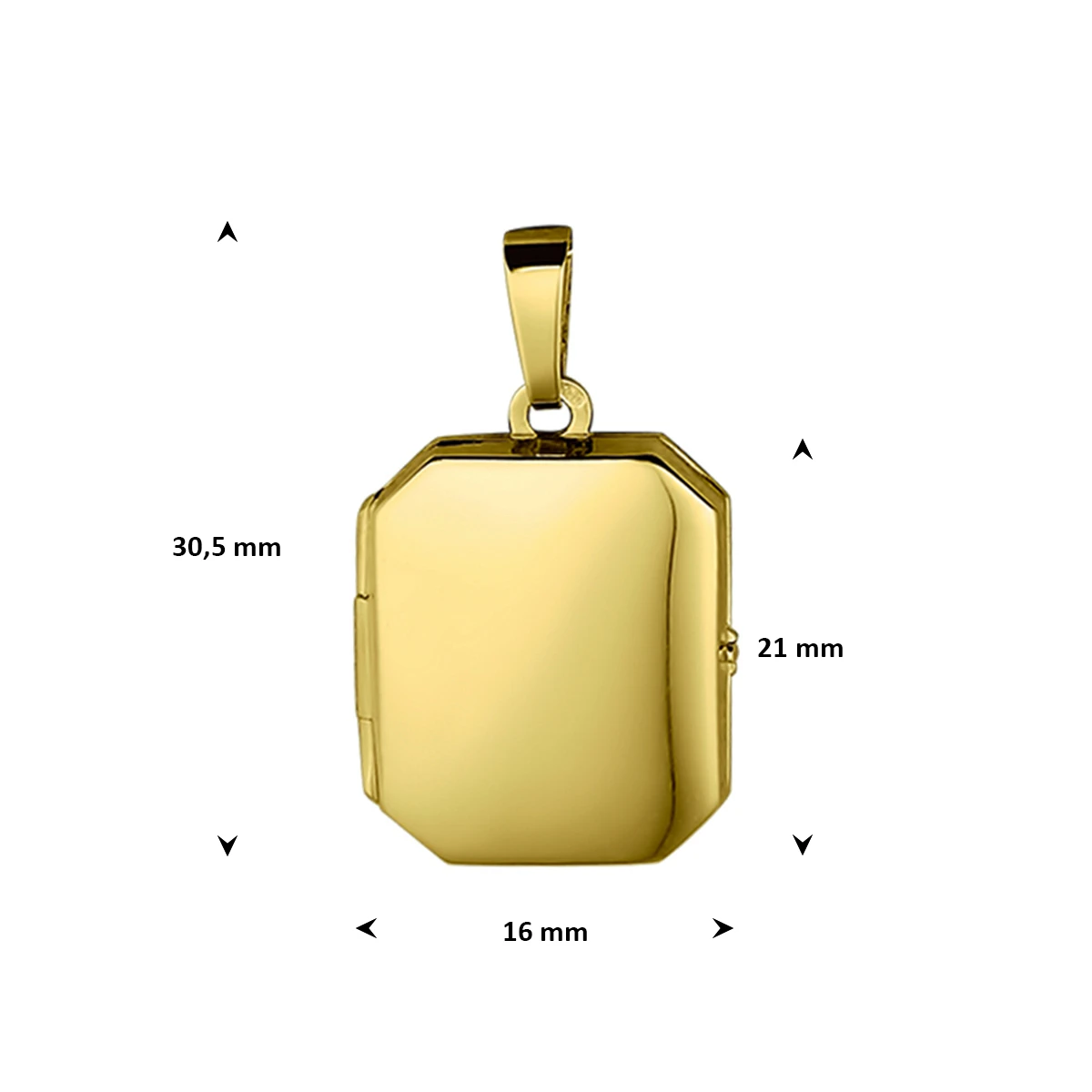 medaillon 21 mm 14K geelgoud