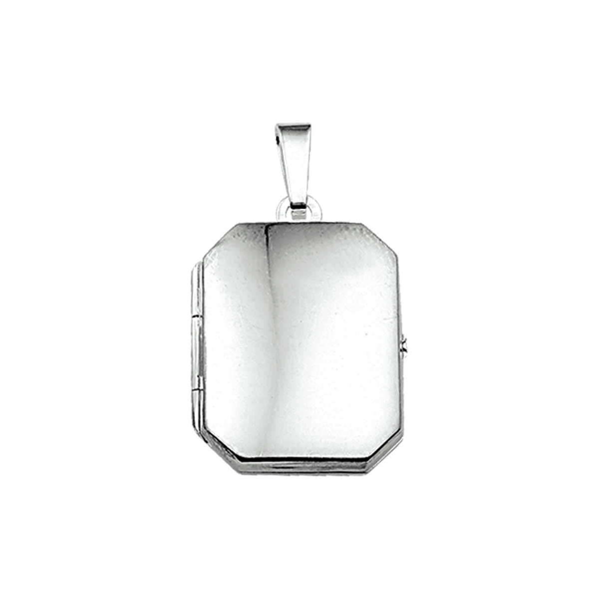 medaillon 21 mm zilver wit