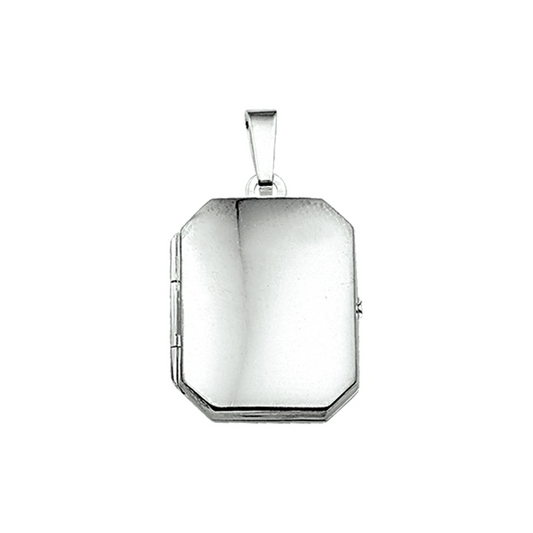 medaillon 21 mm zilver wit