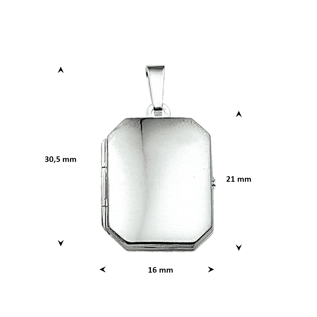 medaillon 21 mm zilver wit