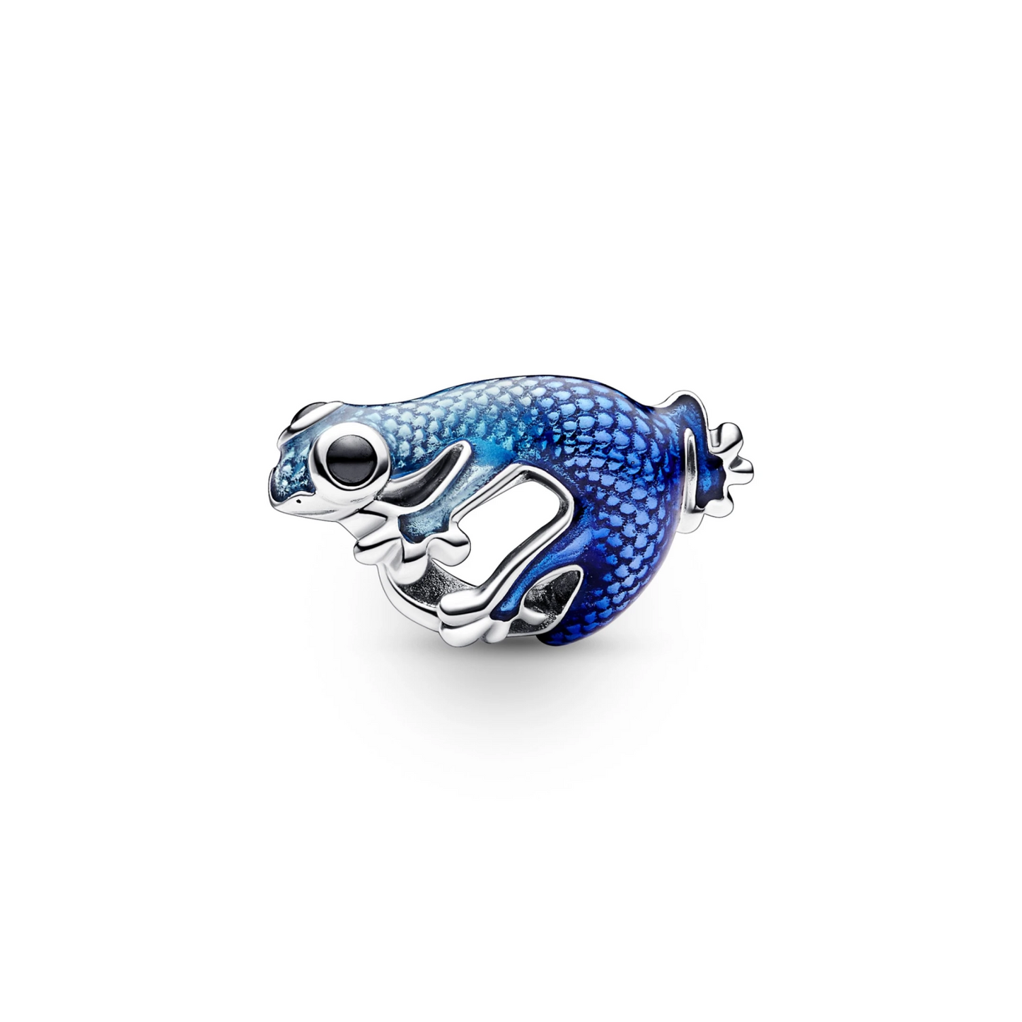 Metallic Blauwe Gecko Bedel