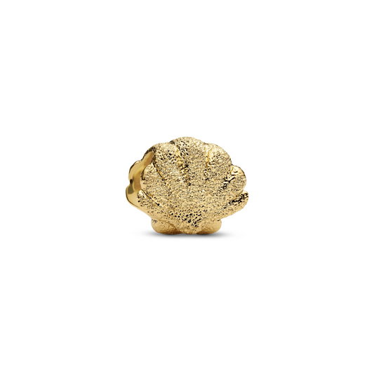 Minibedel getextureerde schelp