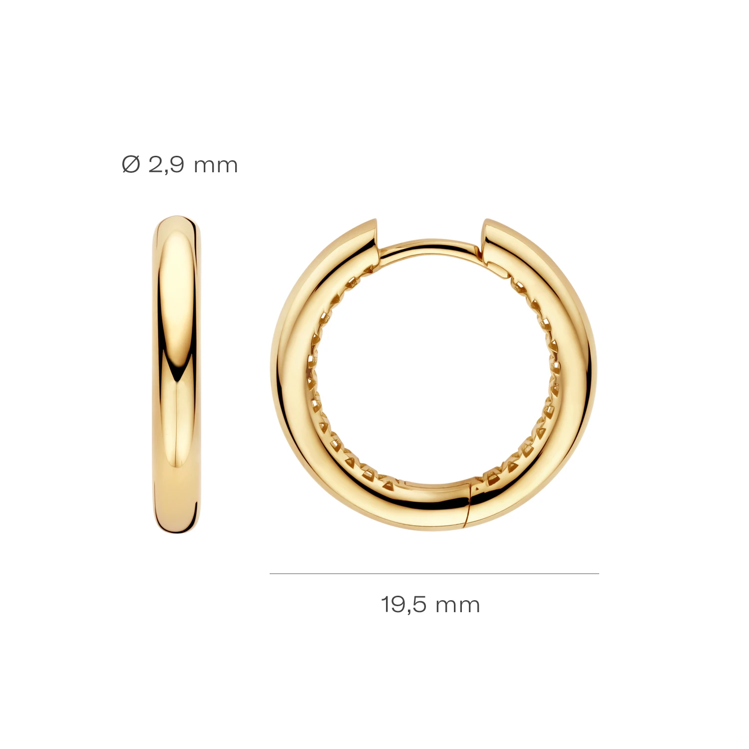 Oorbellen Geelgoud (14k)