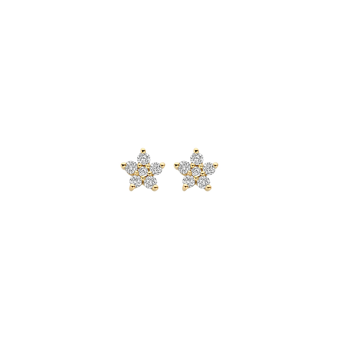 Oorbellen Geelgoud (14k) met Lab grown Diamant
