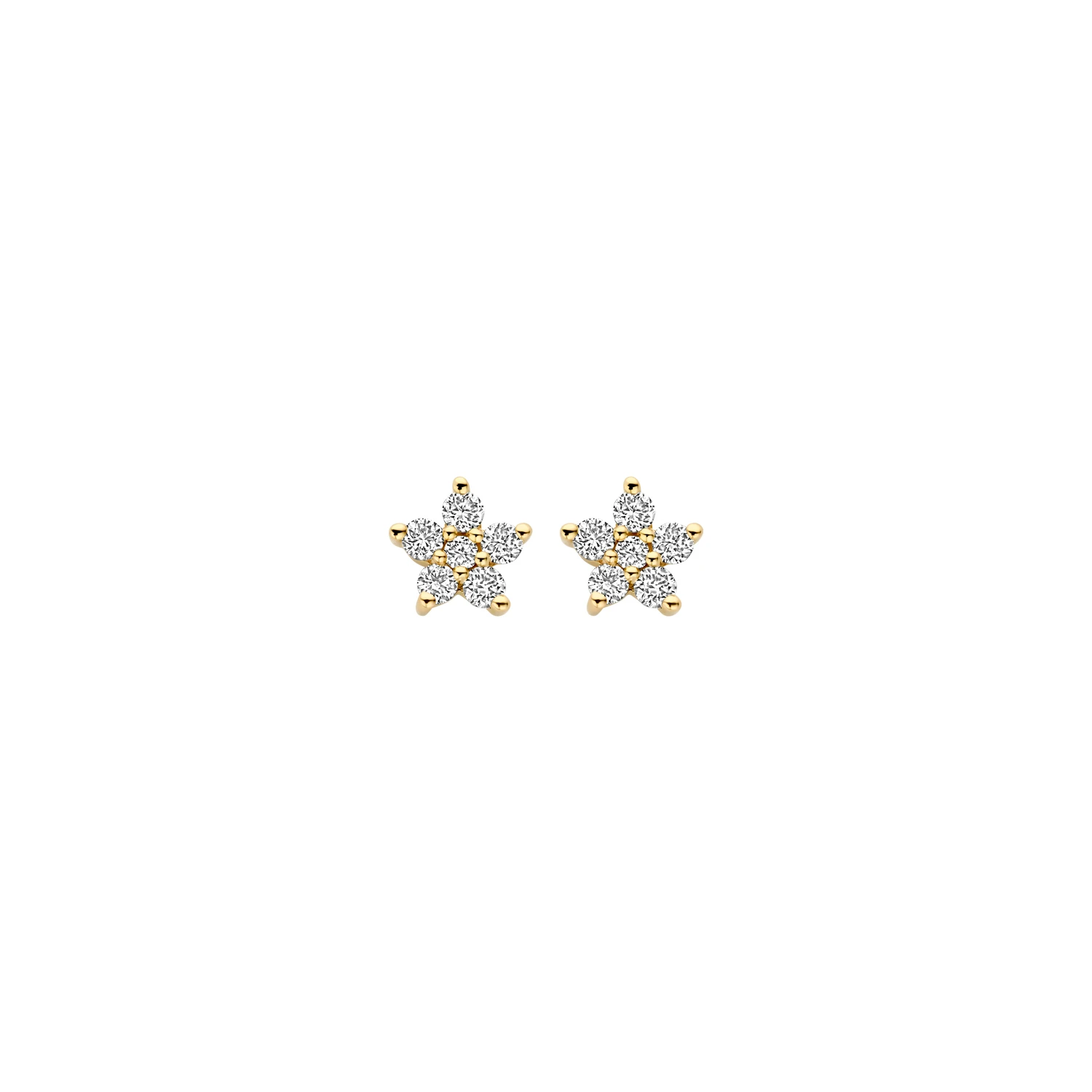 Oorbellen Geelgoud (14k) met Lab grown Diamant