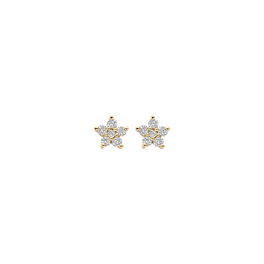 Oorbellen Geelgoud (14k) met Lab grown Diamant
