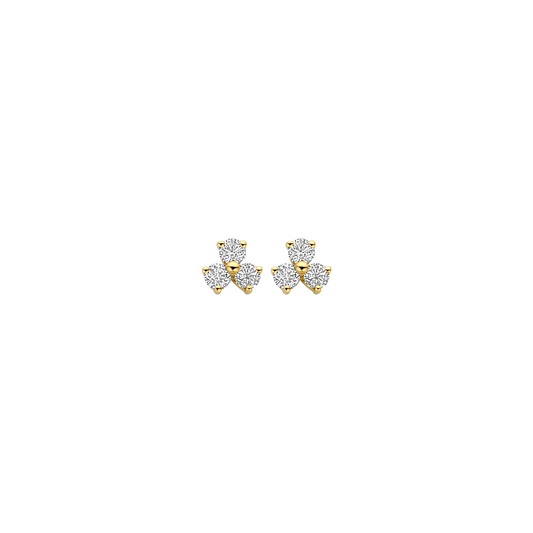 Oorbellen Geelgoud (14k) met Lab grown Diamant
