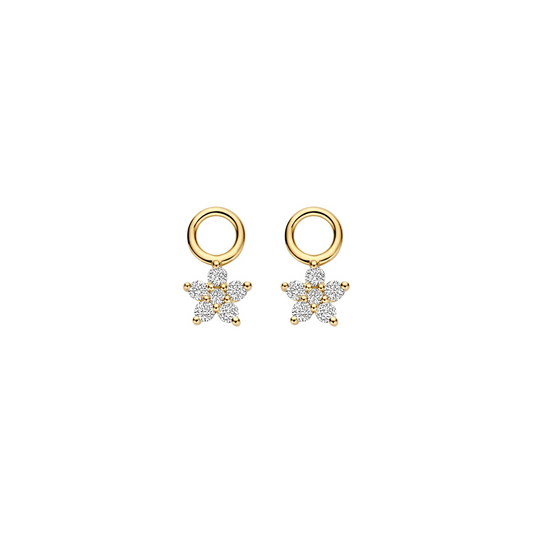 Oorhangers Geelgoud (14k) met Lab grown Diamant