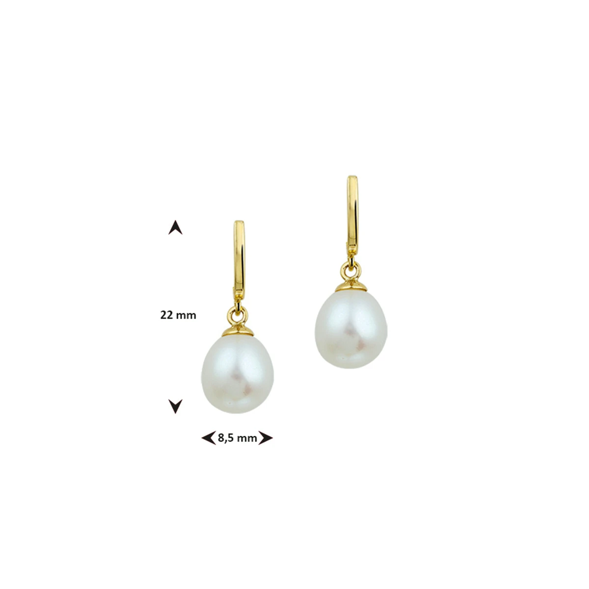 oorhangers parel 12 x 8,5 mm 14K geelgoud