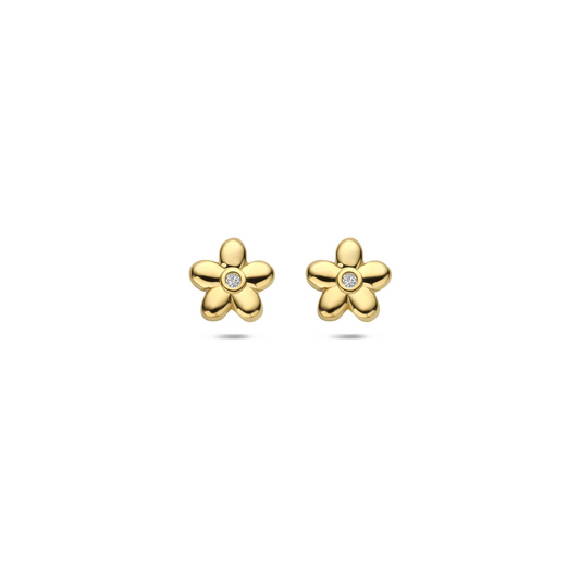 oorknoppen bloem zirkonia 5,5 mm 1 micron zilver verguld (geel)