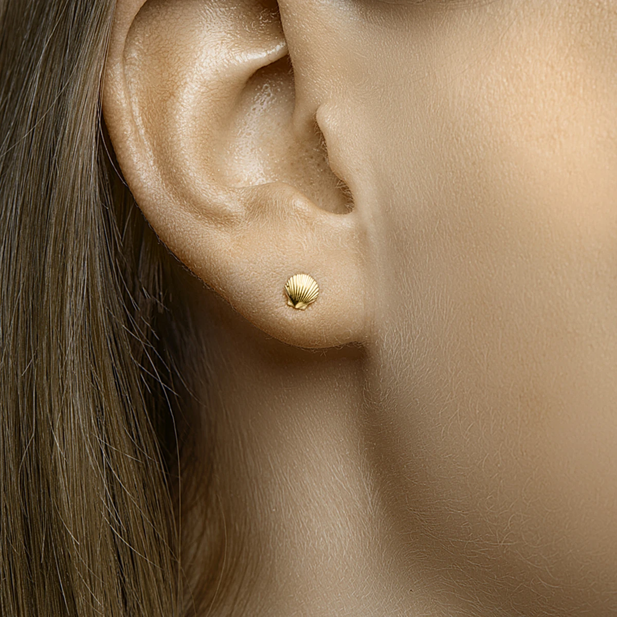 oorknoppen schelp 14K geelgoud