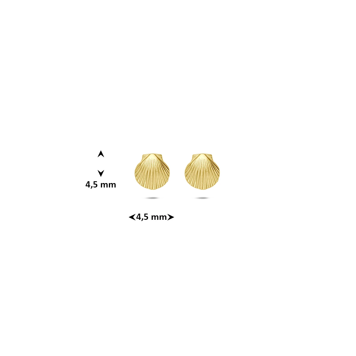 oorknoppen schelp 14K geelgoud