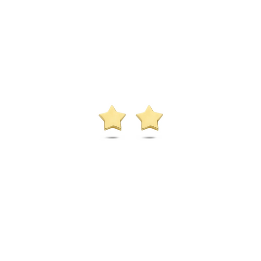 oorknoppen ster 14K geelgoud