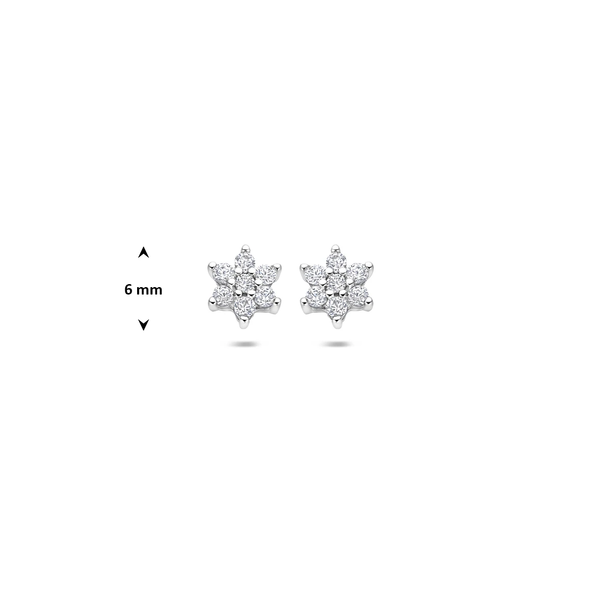 oorknoppen ster zirkonia halo 6 mm zilver gerhodineerd