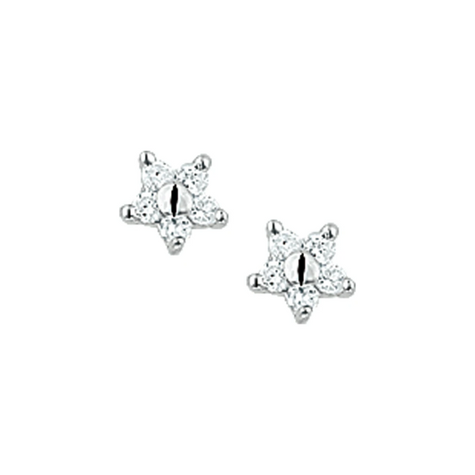 oorknoppen ster zirkonia zilver gerhodineerd