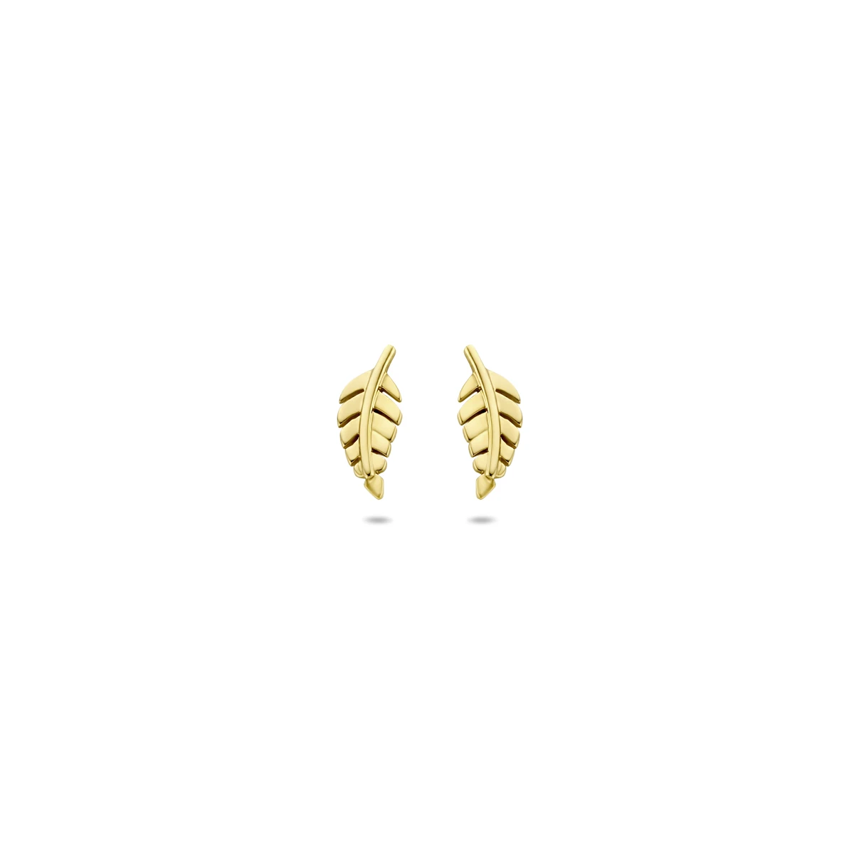 oorknoppen veer 8 mm 14K geelgoud