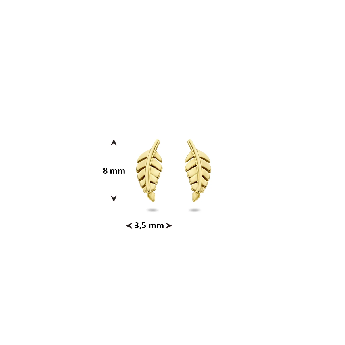oorknoppen veer 8 mm 14K geelgoud