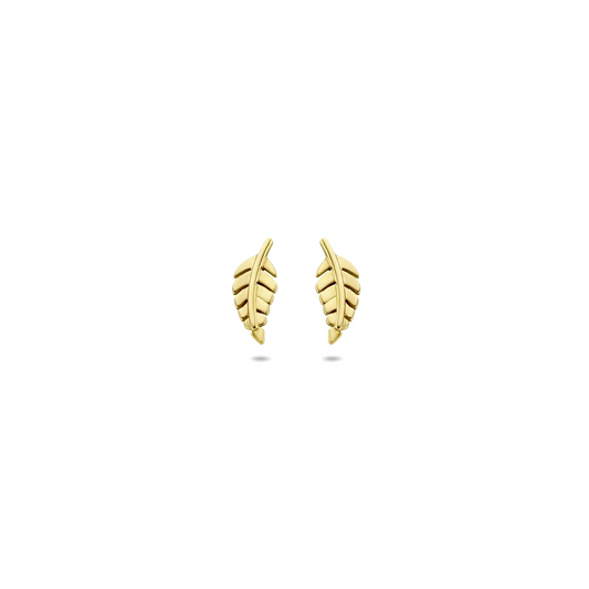 oorknoppen veer 8 mm 14K geelgoud