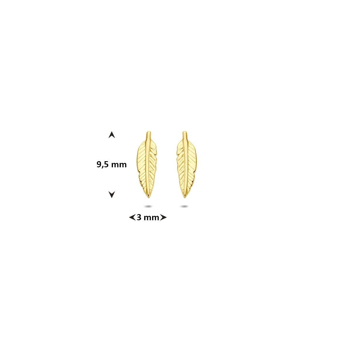 oorknoppen veer 9,5 mm 14K geelgoud