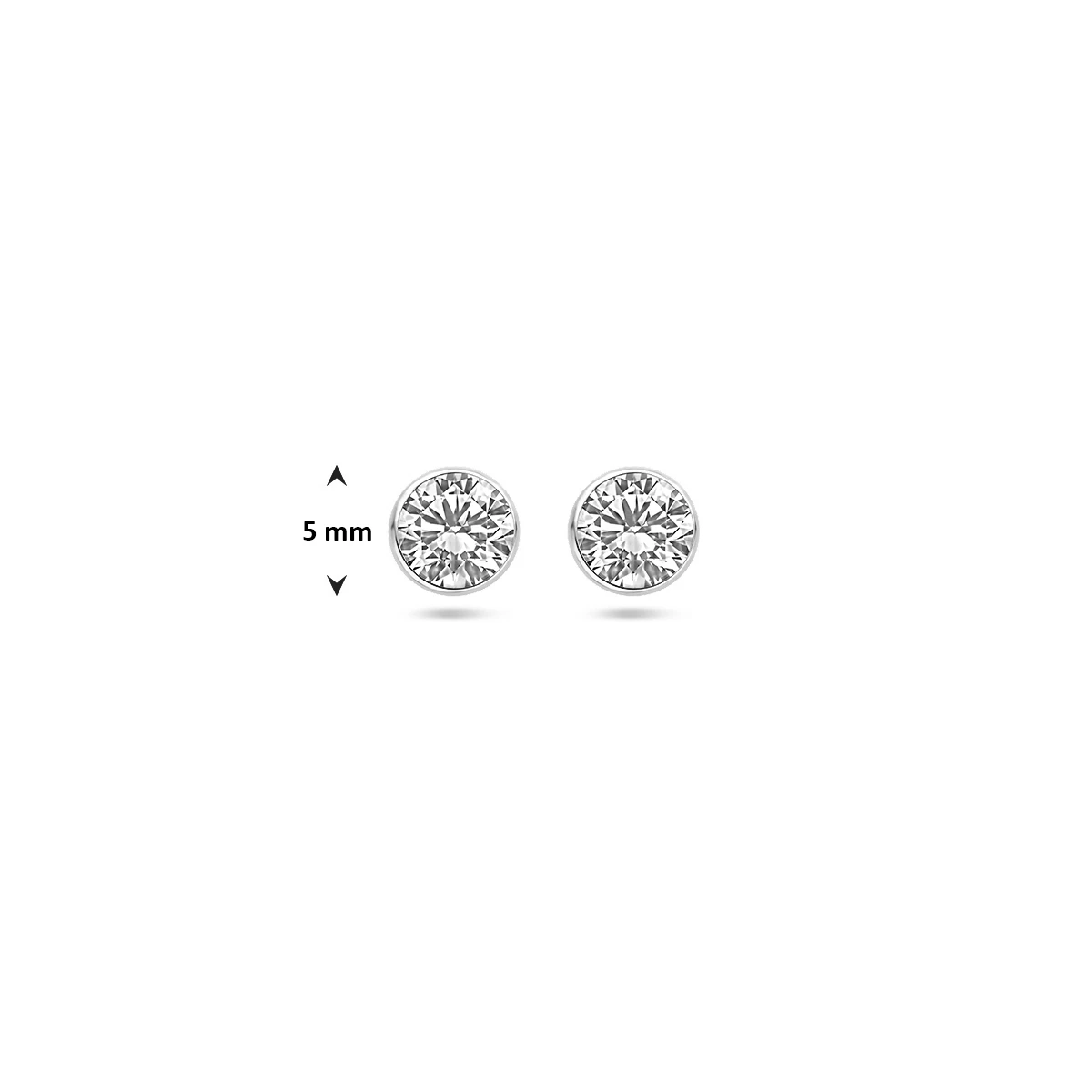 oorknoppen zirkonia 14K witgoud