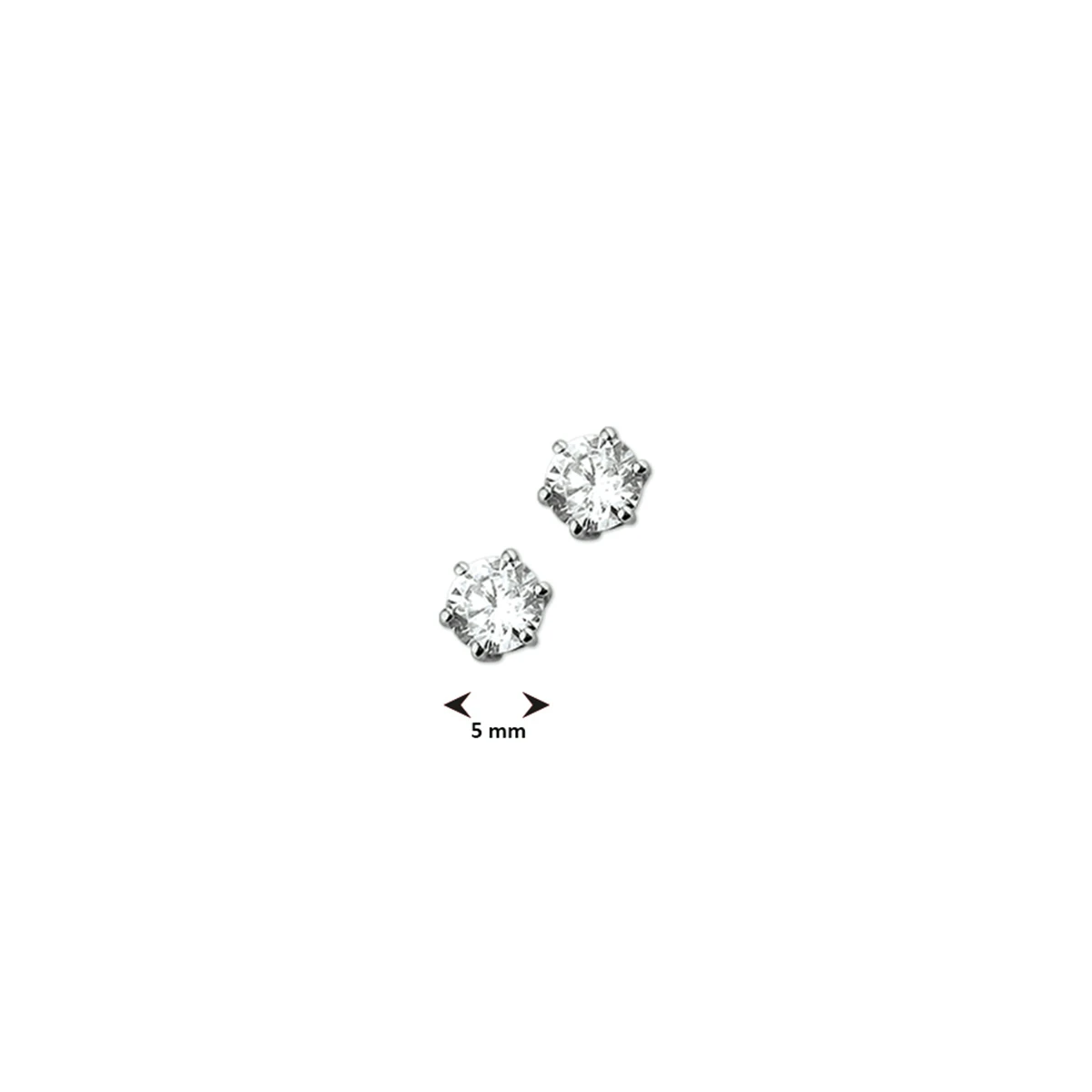 oorknoppen zirkonia 14K witgoud