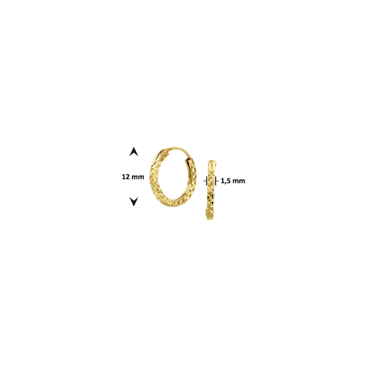 oorringen 1,5 mm vierkant gediamanteerd 14K geelgoud