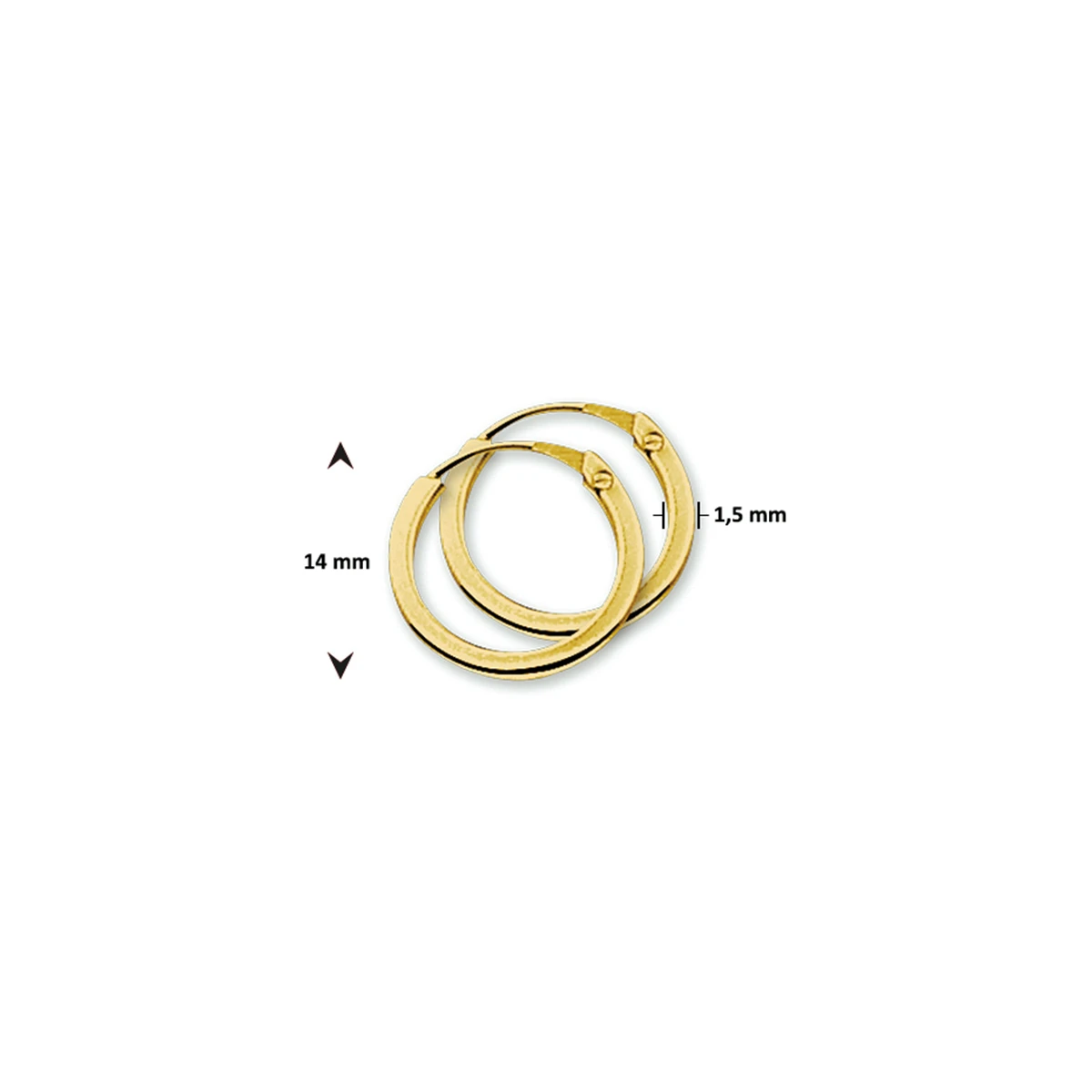 oorringen 1,5 mm vierkant 14K geelgoud