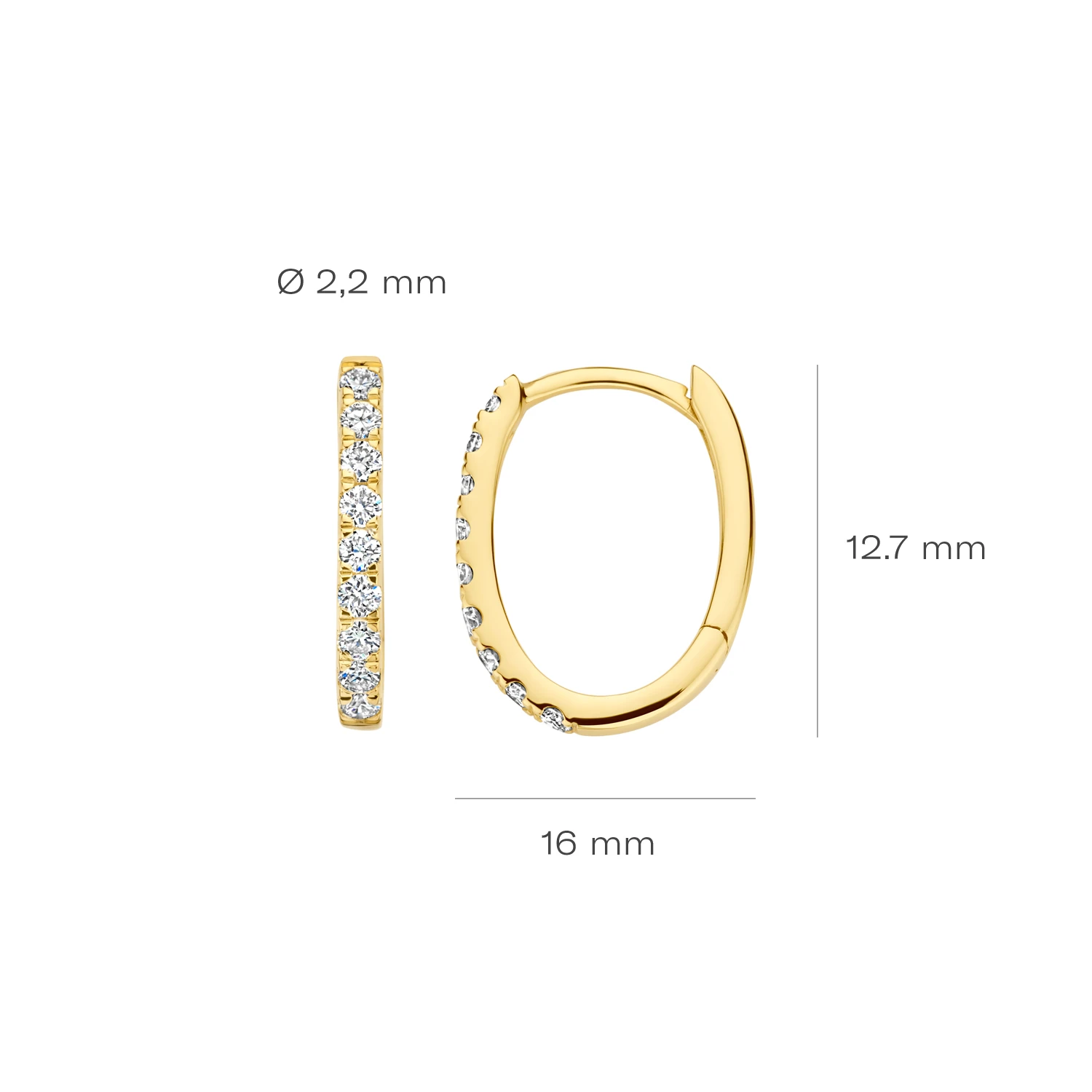 Oorringen Geelgoud 14k met lab grown diamant