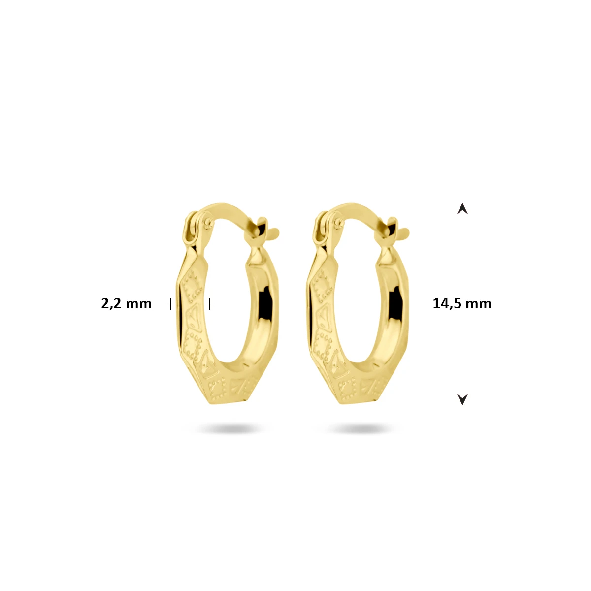 oorringen lapide 14K geelgoud