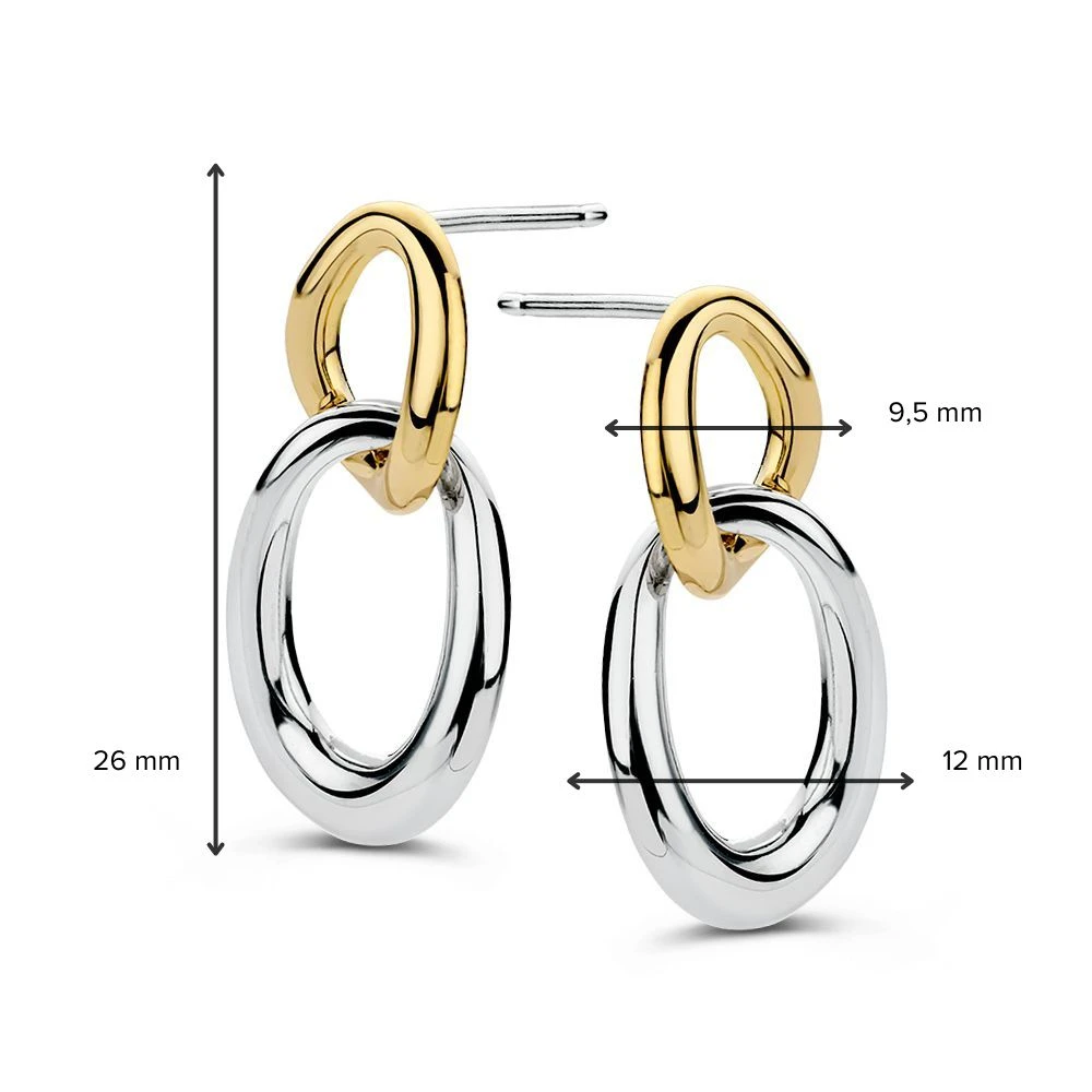 Oorstekers zilver/goud