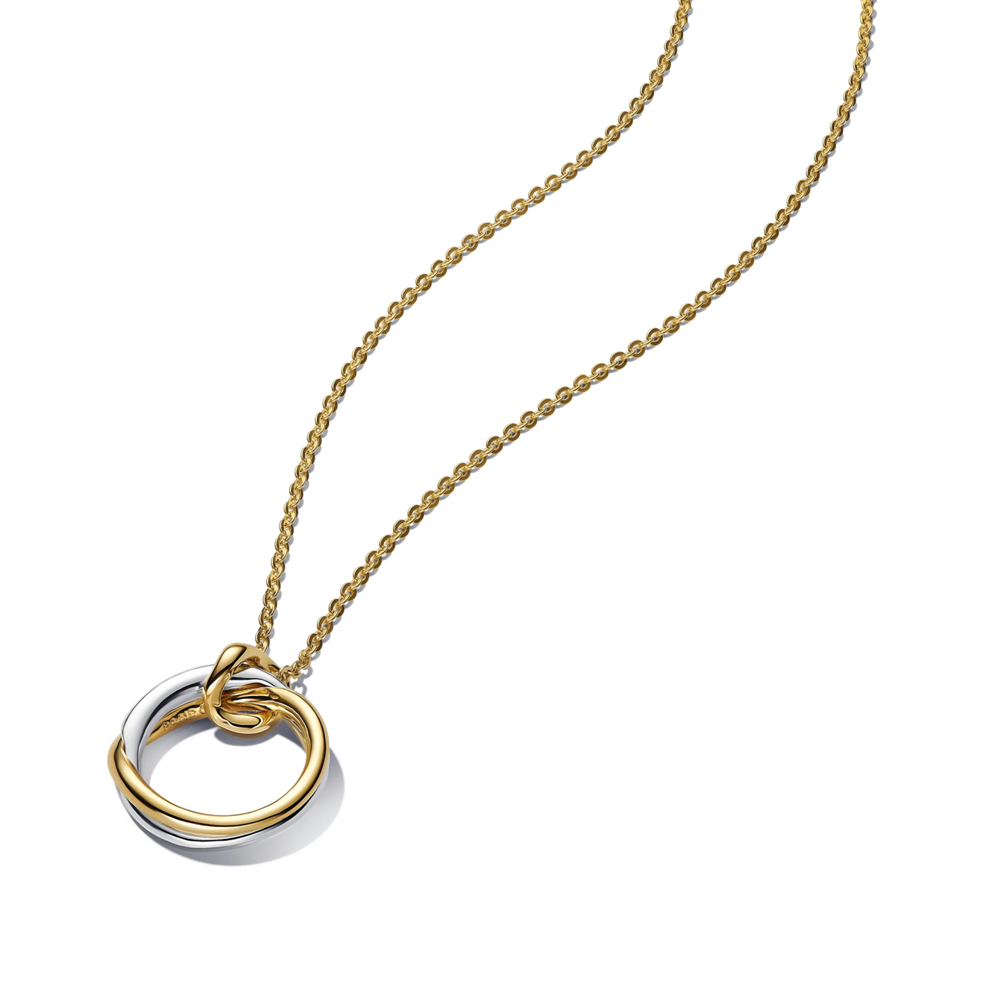 Organisch Gevormde Ketting met Tweekleurige Hanger