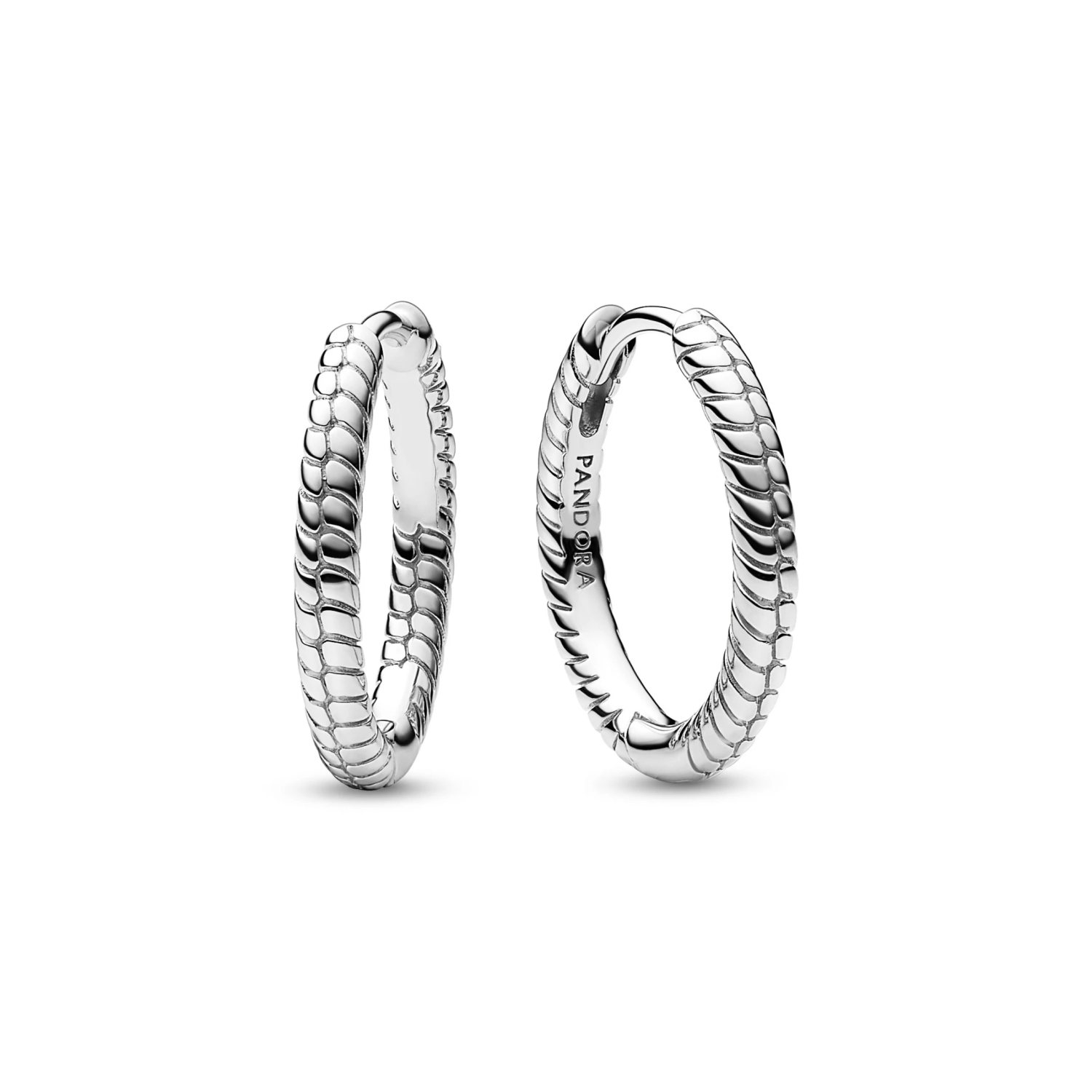Pandora Moments kleine bedeloorringen
