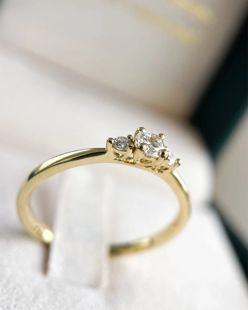 Ring Alix 0,20 crt. geelgoud Maat 49