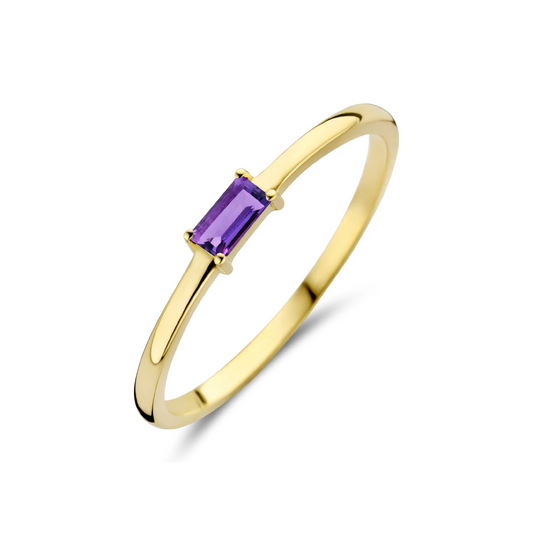 ring met geboortesteen amethist februari 14K geelgoud