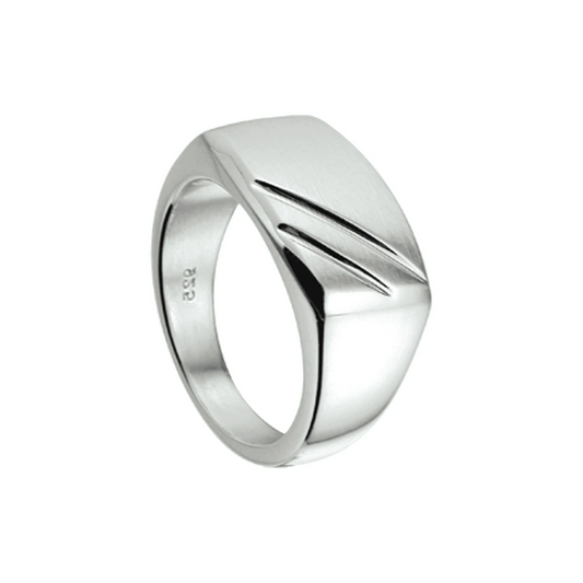 ring poli/mat zilver wit