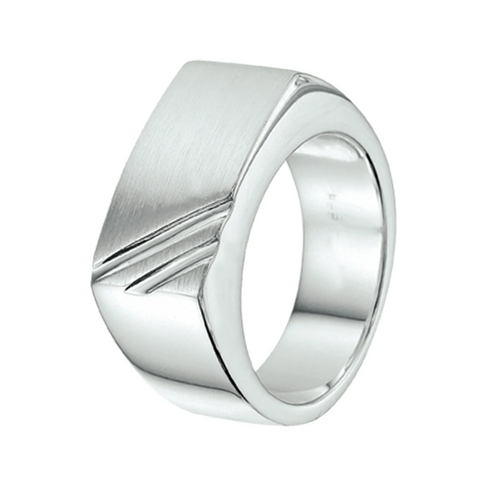 ring poli/mat zilver wit