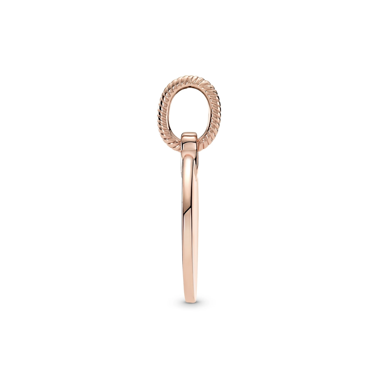 Rond Plaatje Hanger