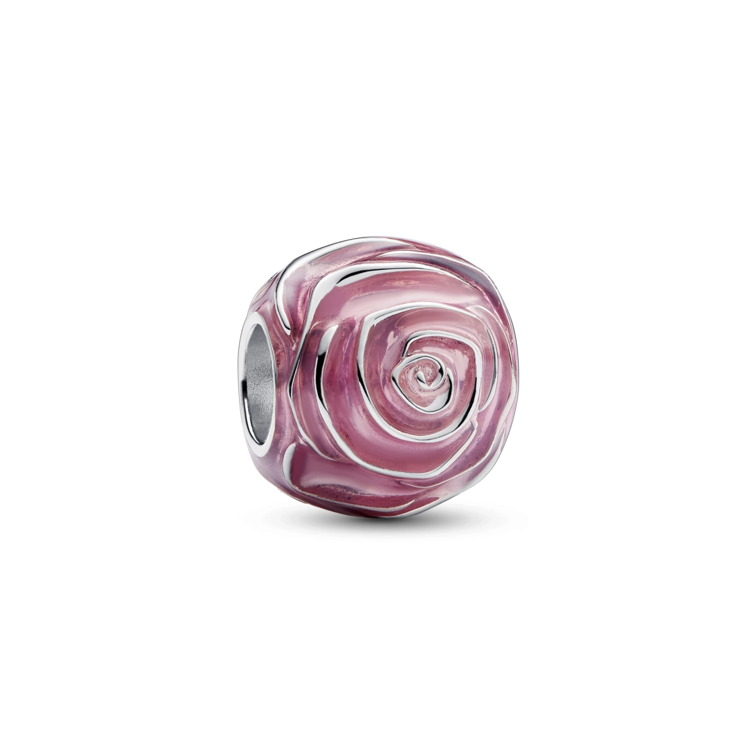 Roze roos in bloei bedel