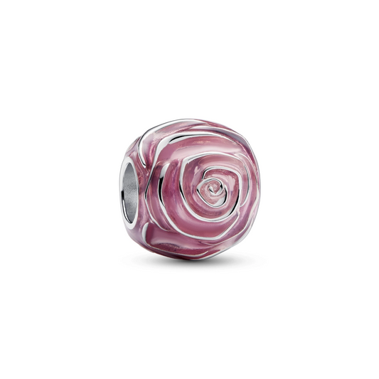 Roze roos in bloei bedel