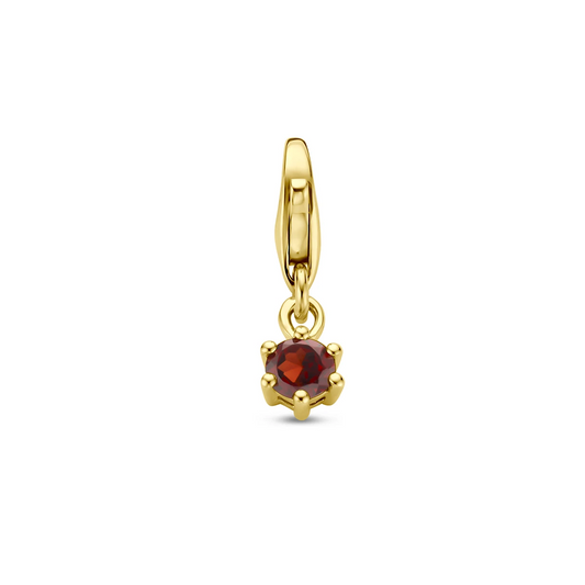 slotbedel met geboortesteen 14K geelgoud