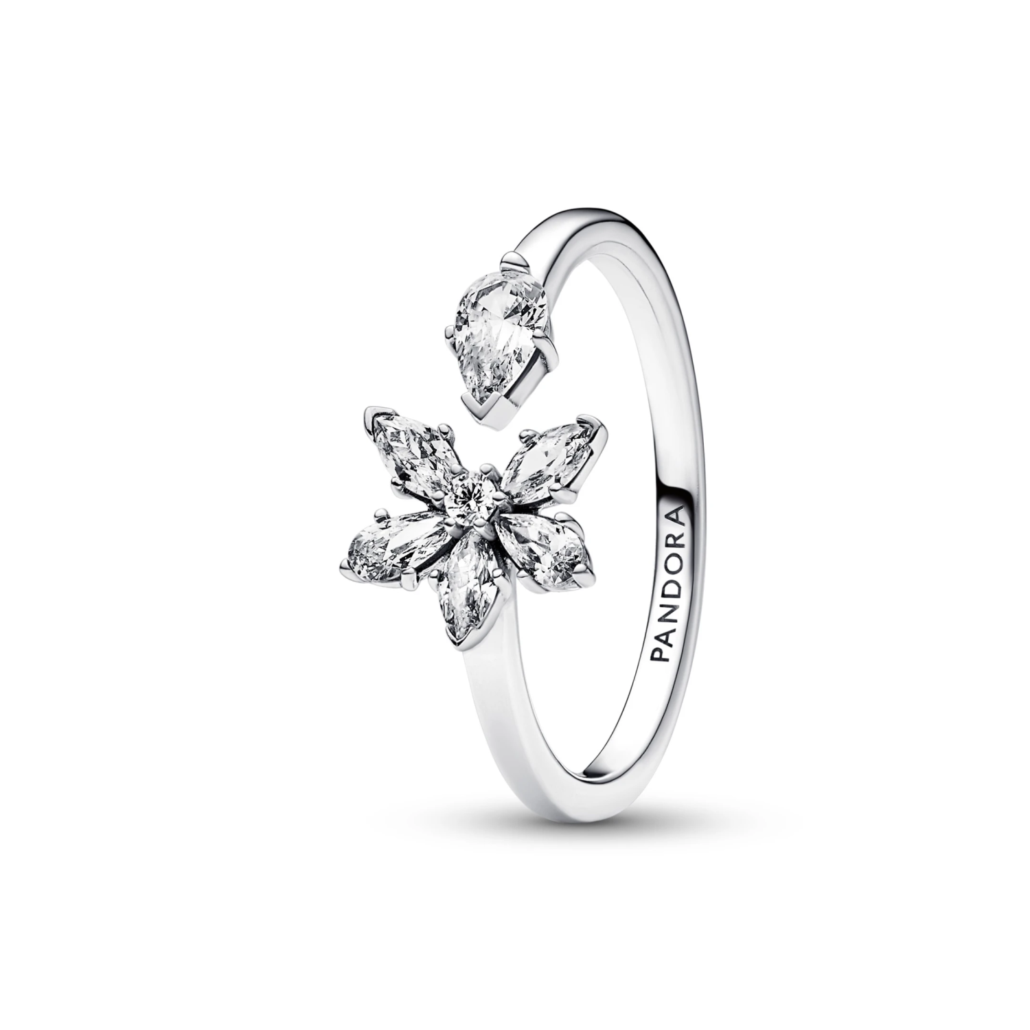 Sprankelende Herbarium Cluster Ring