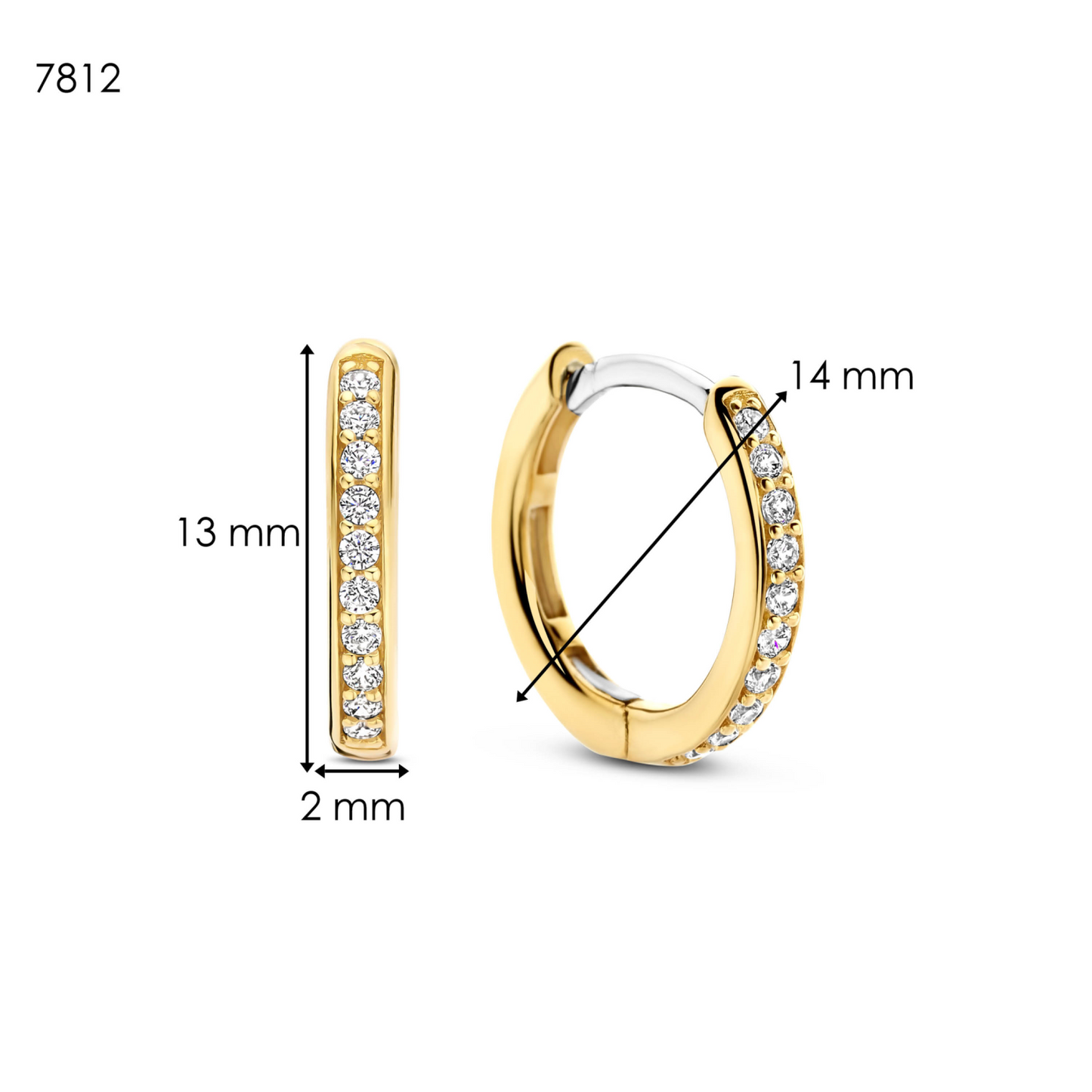 TI SENTO OORBELLEN VERGULD 7812ZY